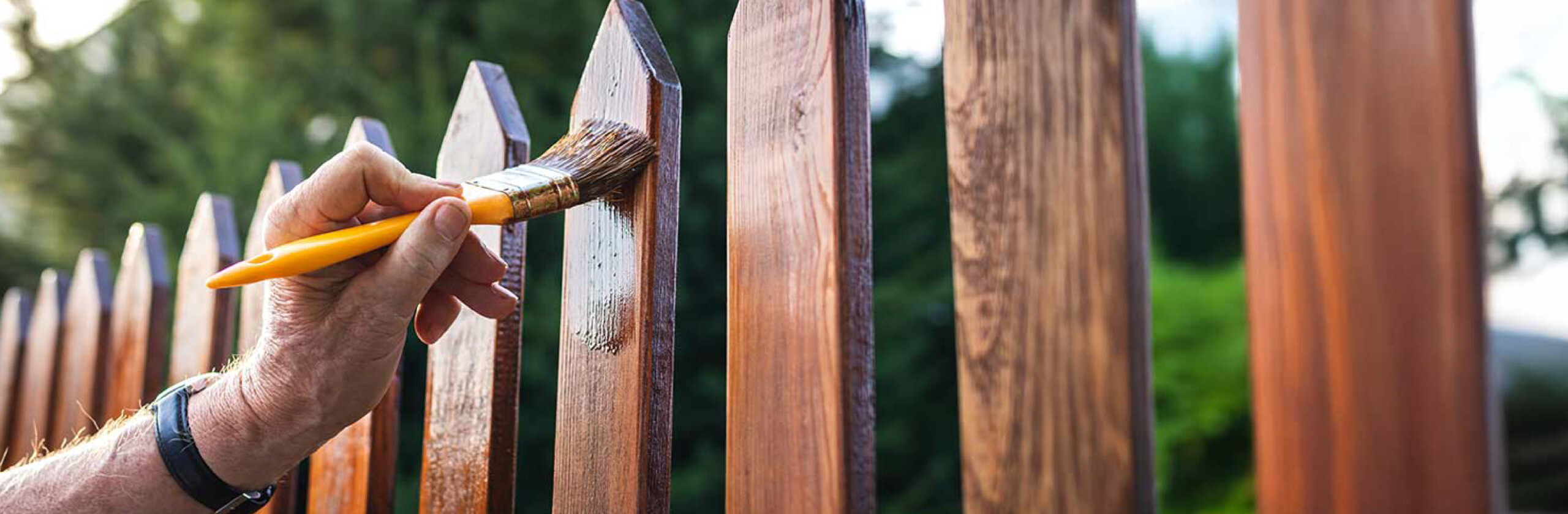 Fence-What are the 5 Stages of Project Management? Close-up of a person staining a wooden fence outdoors with a paintbrush, showing fresh coating on vertical boards.